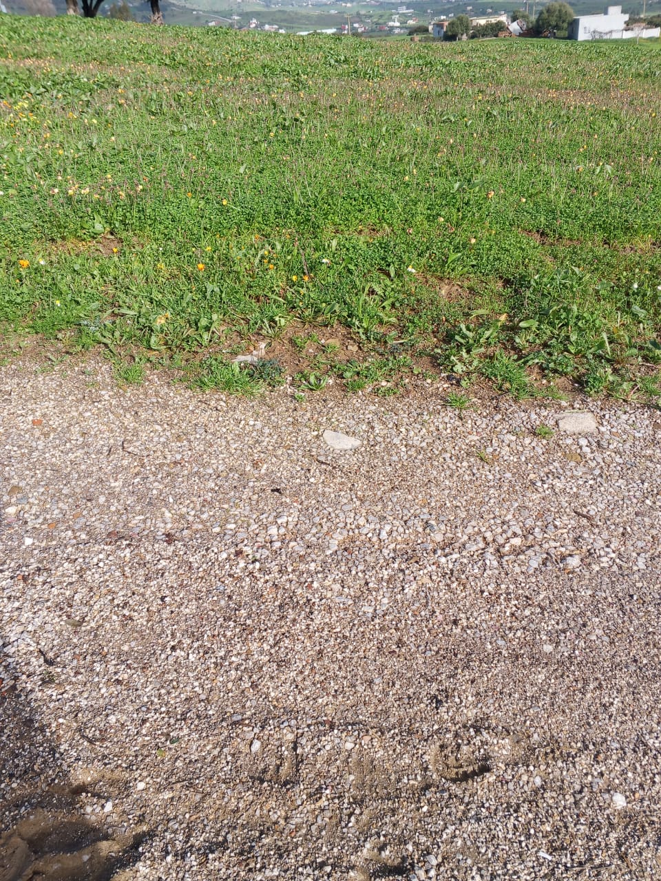 بقعة الأرض للبيع مساحة ديالها 3800 متر 