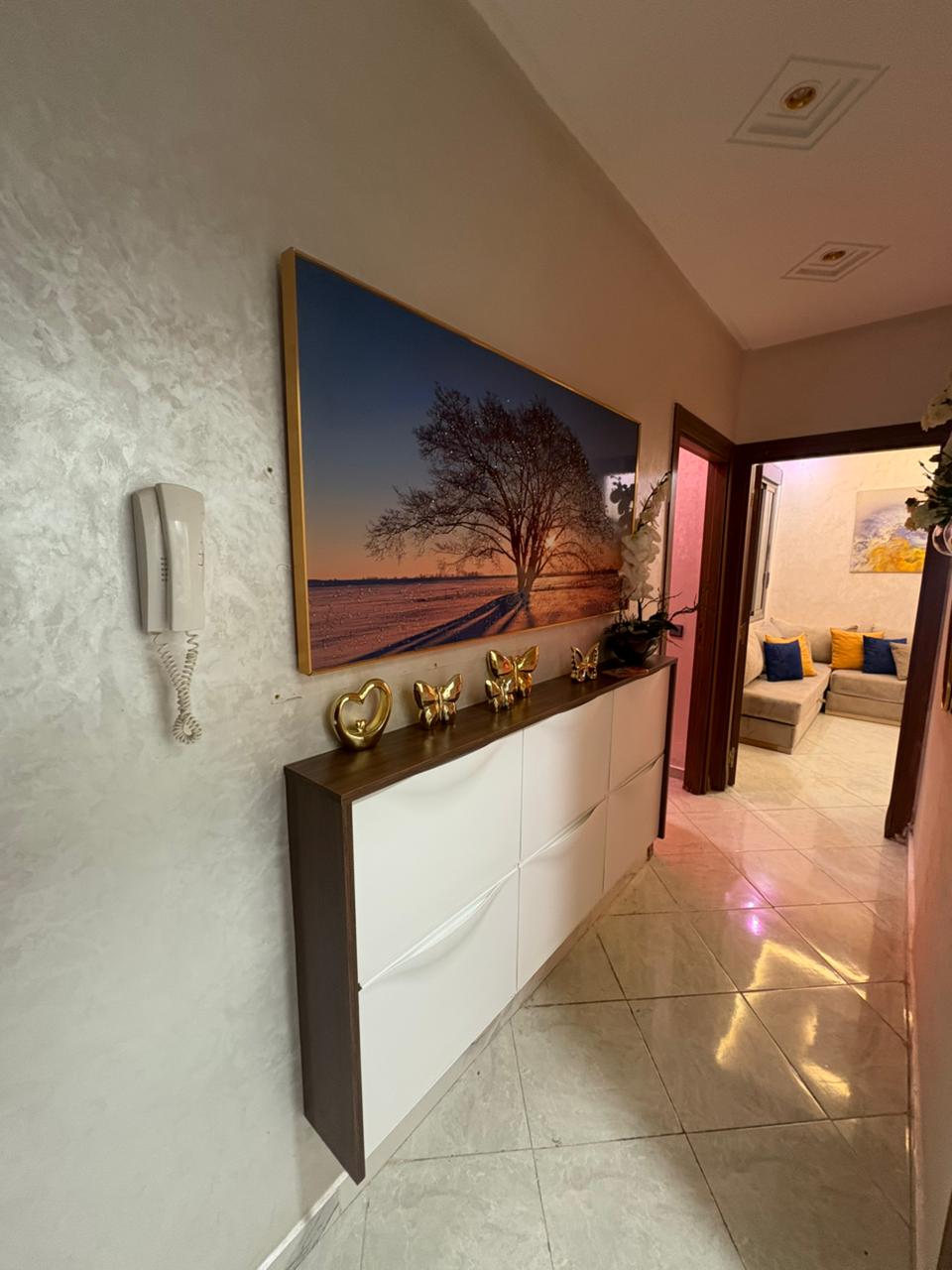 Appartement a vendre 