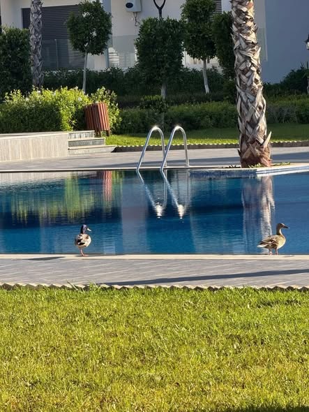location COSTA BEACH 3 - Bouznika bay BOUZNIKA